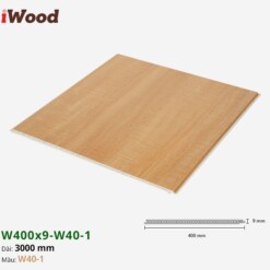 Tấm ốp Nano Iwood W400x9-w40-1