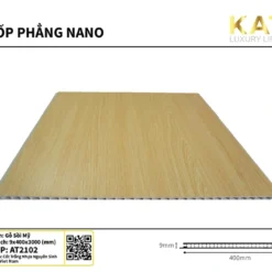 Tam-op-phang-nano-kata-at-2102.webp